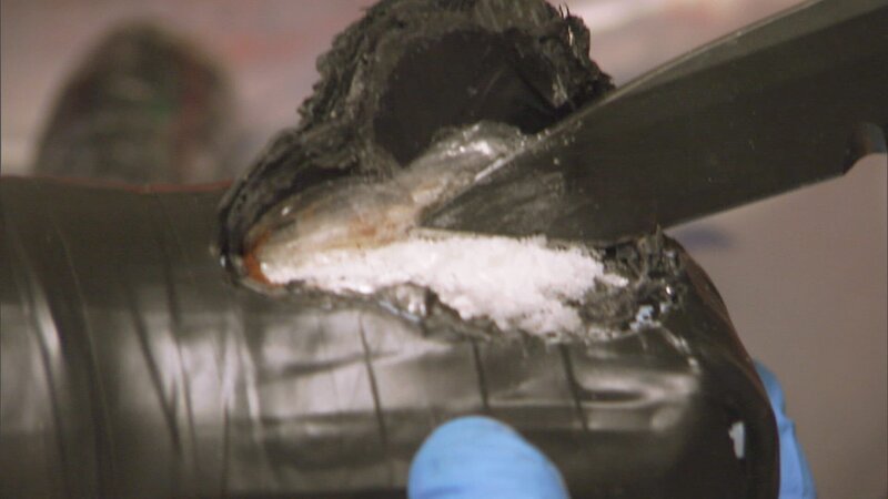 Bild: NGT /​ National Geographic Channels