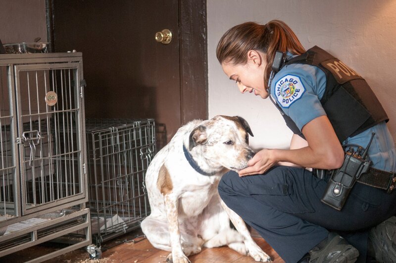 Officer Kim Burgess (Marina Squerciati) – Bild: MG RTL D /​ NBC Universal