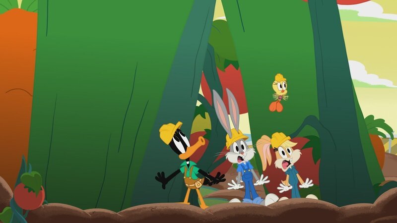 v.li.: Daffy Duck, Bugs Bunny, Lola Bunny, Tweety (oben) – Bild: Warner Bros. Entertainment Inc.
