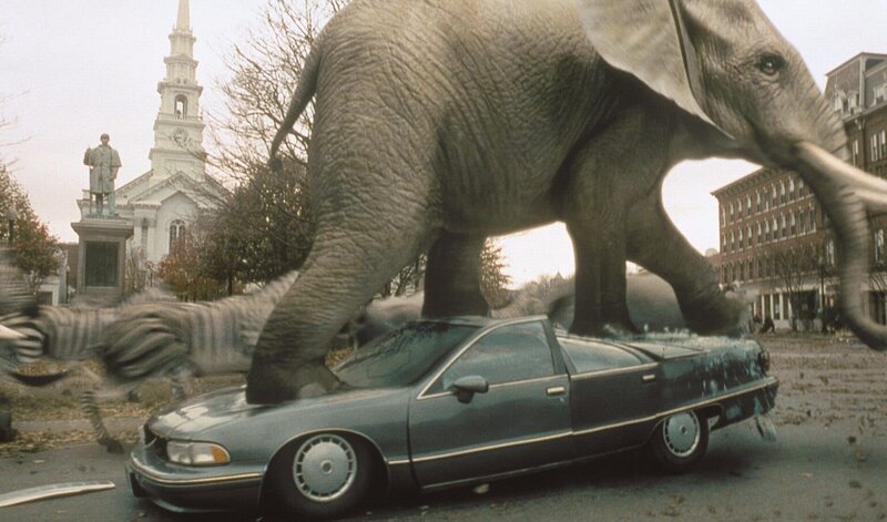 Ich bin ein Elefant, Madame: Eine von „Jumanji“ herbeigezauberte wilde Elefantenherde stampft durch den Ort und hinterläßt eine Schneise der Verwüstung … – Bild: ATV