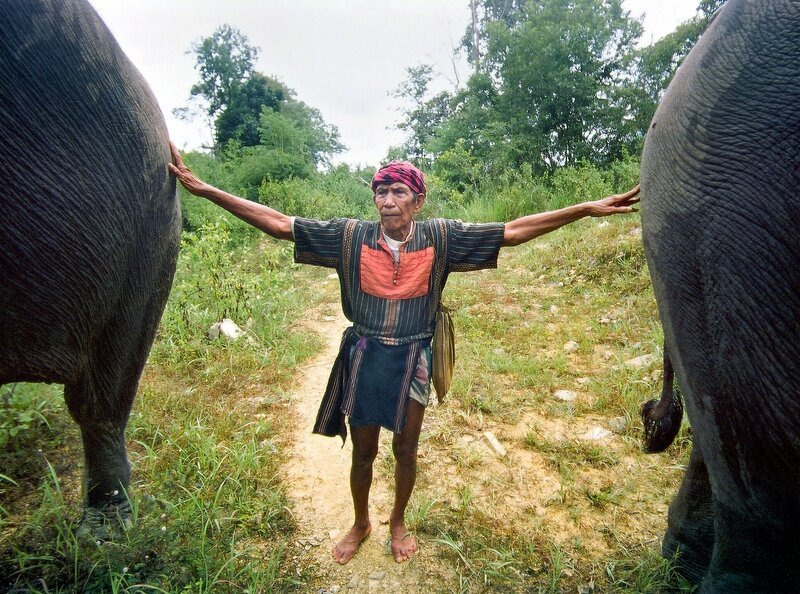 Macun, der Elefantenfänger im Yok Don-Nationalpark in Ban Don. – Bild: MDR