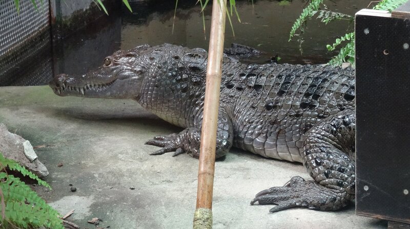 Bild: NDR/​Karolin Kietz