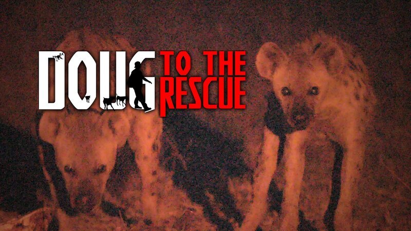 Bild: Curiosity Stream