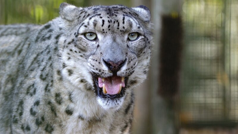 Bild: arte, Jack Valpy /​ ZDF und arte, Jack Valpy