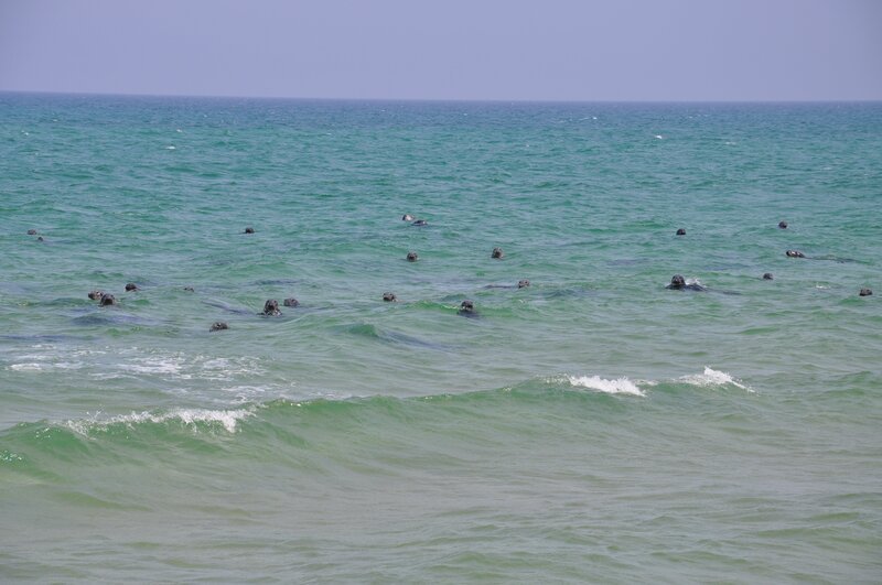 Bild: Ashley Harnden