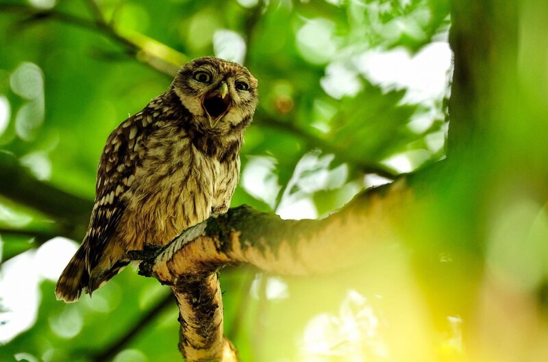 Bild: ZDF und BR/​corvusFilm/​Jo Schöller