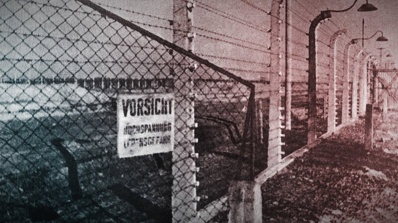Am 22. Juni 1941 greift Hitlers Armee die Sowjetunion an. Im Schatten des Krieges begehen Deutsche Massenmorde an der jüdischen Bevölkerung. – Bild: ZDF und Tobias Lenz