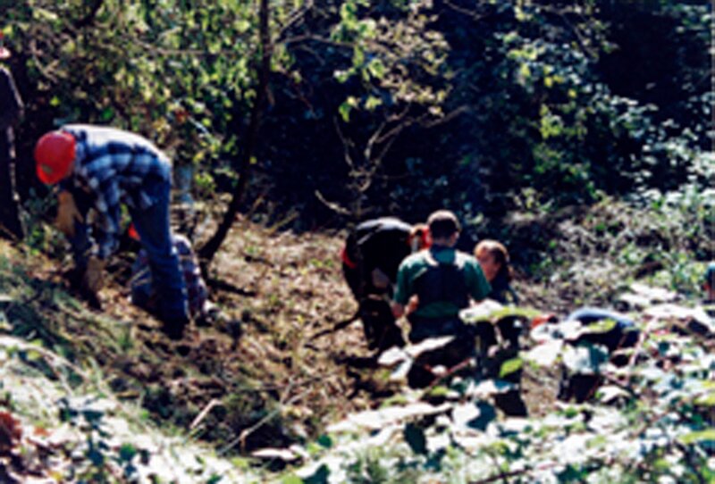 Menschen erforschen in der Natur – Bild: box /​ © Crime + Investigation /​ A+E Networks