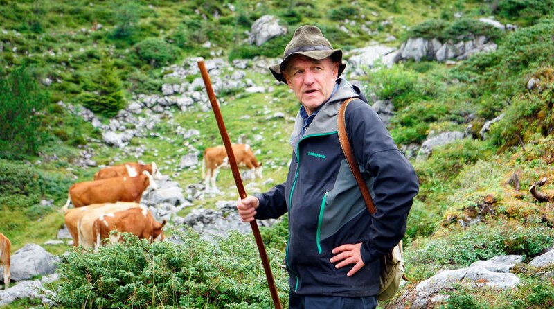 Hirte Peter Gruber bei der täglichen Suche nach dem Vieh. Seinem geschulten Auge entgeht nichts. Weiteres Bildmaterial finden Sie unter www.br-foto.de. – Bild: BR/​Bernhard Wohlfahrter
