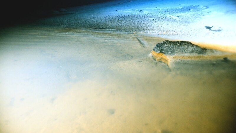 Ein Strand in 1600 Meter Tiefe. Unter dem normalen Meerwasser wabert hochkonzentrierte Salzlösung. – Bild: ZDF und NHK