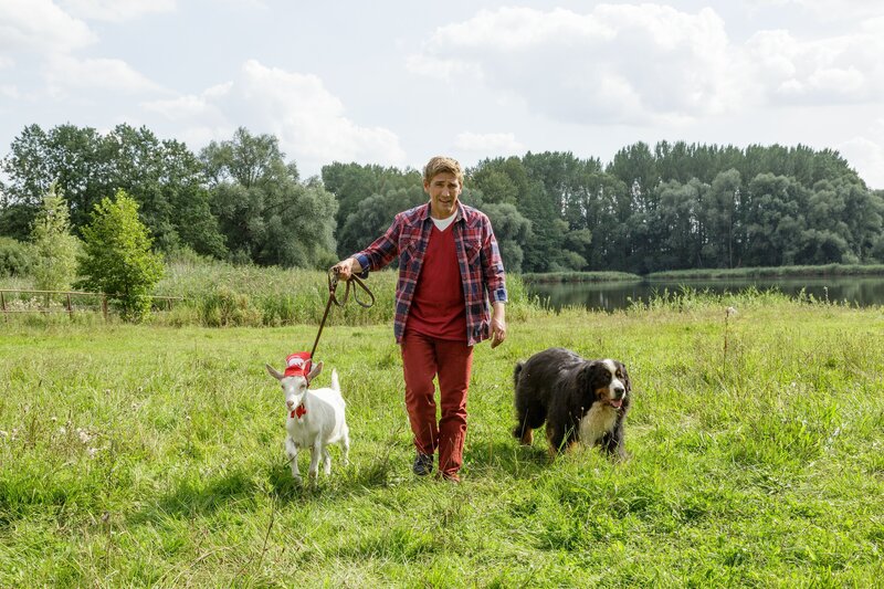 Fritz Fuchs (Guido Hammesfahr), Ziege Rosalie und Berner Sennenhund Keks machen einen Spaziergang. – Bild: ZDF/​Antje Dittmann