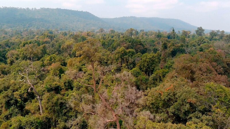 Bild: NDR /​ doclights /​ Lion Mountain Media