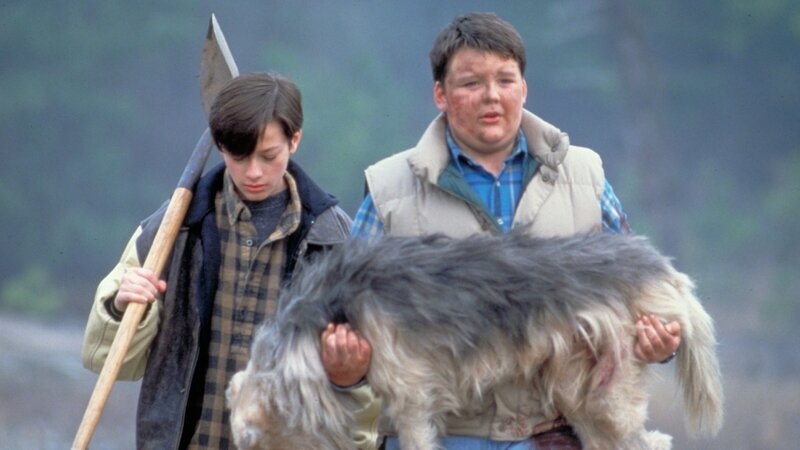 Die beiden Freunde Jeff Matthews (Edward Furlong, l.) und Drew Gilbert (Jason McGuire, r.) möchten Drews Hund Zowie begraben. Das Tier wurde erschossen. – Bild: ZDF und Paramount