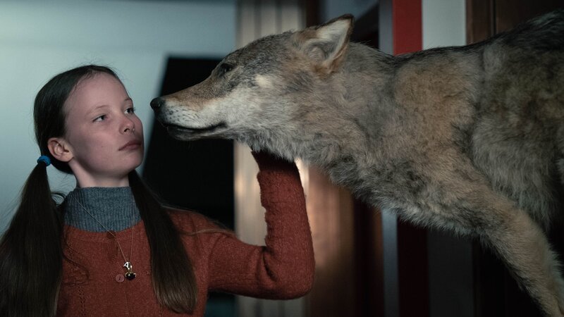 Alma (Laeni Geiseler) streichelt einen ausgestopften Wolf. – Bild: Martin Rattini /​ X-Filme Produktion GmbH /​ ORF /​ BR /​ NDR /​ Primary Pictures, Wien