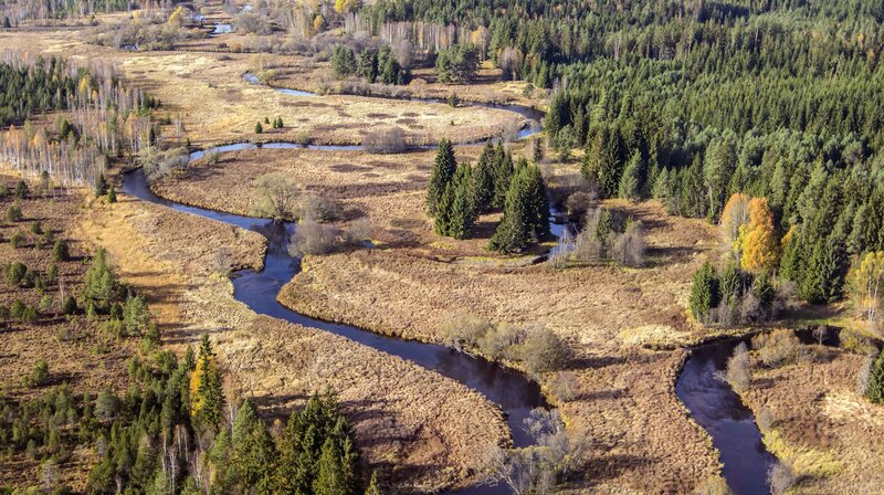 Der Bach – Bild: NDR/​doclights/​nautilusfilm/​Jan Haft