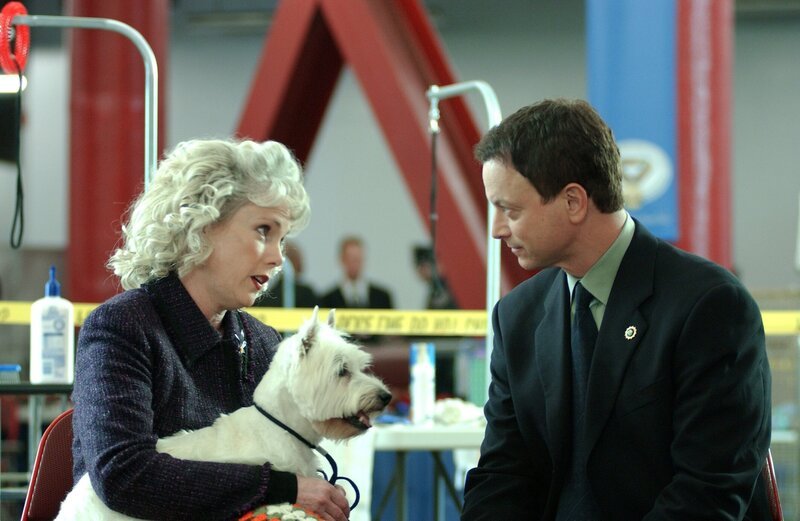 „Recycling“ – coverage of CSI: NY. – Bild: PLURIMEDIA (CBS Broadcasting Inc.)