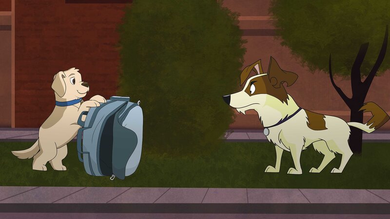 Dandy soll auf den kleinen Hund Knurpsel aufpassen. Knurpsel ist ganz versessen darauf, einen Fall zu lösen. Vielleicht ist der Rucksack, den er im Gebüsch gefunden hat, irgendwie verdächtig? – Bild: ZDF und Edebé Audiovisual, B-Water