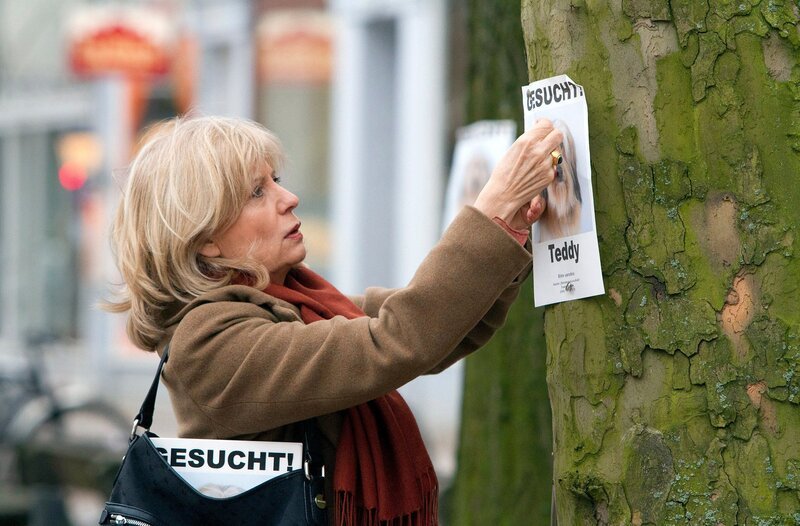 Isabel von Brede (Sabine Postel) fahndet nach Hund Teddy. – Bild: ARD/​Georges Pauly