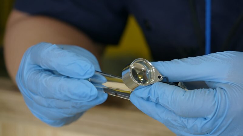 CBP Agriculture Specialists examine an insect found crawling on animal trophies. (National Geographic/​Lucky 8 TV) – Bild: Lucky 8 TV /​ National Geographic/​Lucky 8 TV /​ National Geographic