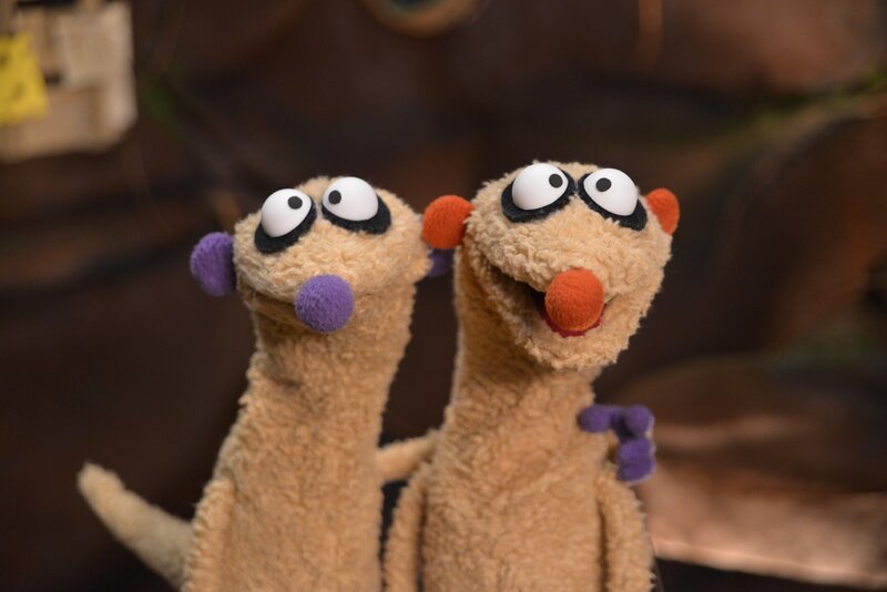 Ein merkwürdiges Geräusch hält die Erdmännchen Jan & Henry vom Schlafen ab. – Bild: rbb/​bigSmile Ent./​NDR/​MDR