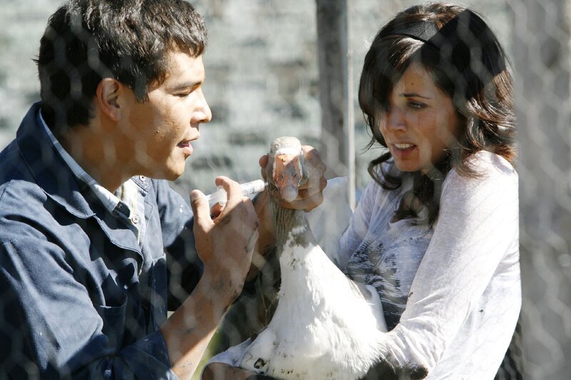 Scott (Nathaniel Arcand) und Lou (Michelle Morgan) – Bild: RTL Passion