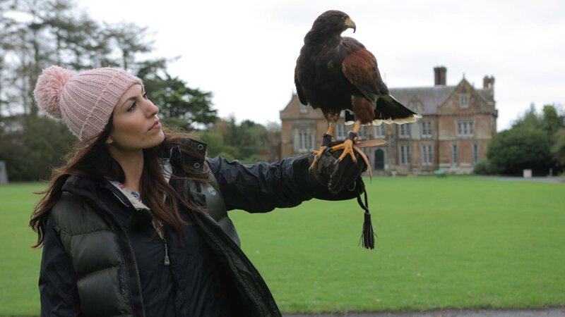 Bild: INSIGHT HD Bild: INSIGHT HD