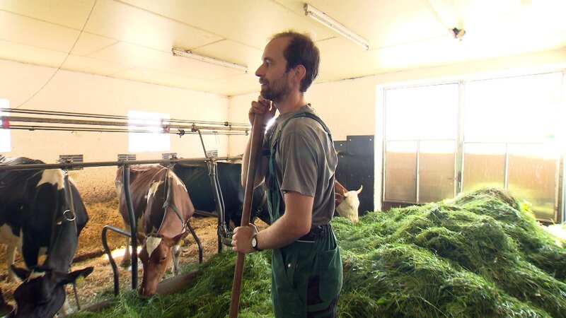 Nico (31) träumt von einem eigenen Milchbetrieb – Bild: RTLZWEI, TMG, Odeon Entertainmen