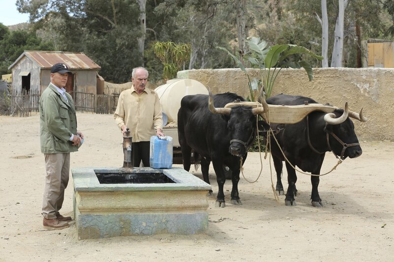 Auch Gibbs (Mark Harmon) versucht herauszufinden, wo sich der verschwundene Navy SEAL in dem von Rebellen kontrollierten Gebiet aufhält. Doch es gestaltet sich sehr schwierig, Hinweise zu bekommen … – Bild: PLURIMEDIA (CBS Broadcasting Inc.)