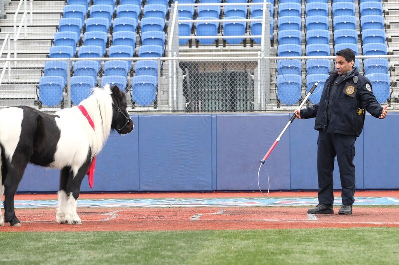 Ravi Patel as Patel – Bild: Bettina Strauss /​ FOX Entertainment