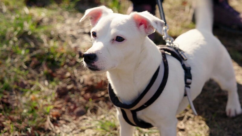 Bild: @Red Bull Media House/​ServusTV