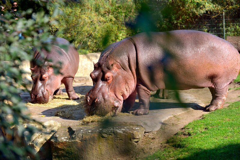 Bild: rbb/​Thomas Ernst