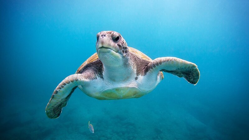 . – Bild: Warner Bros. Discovery