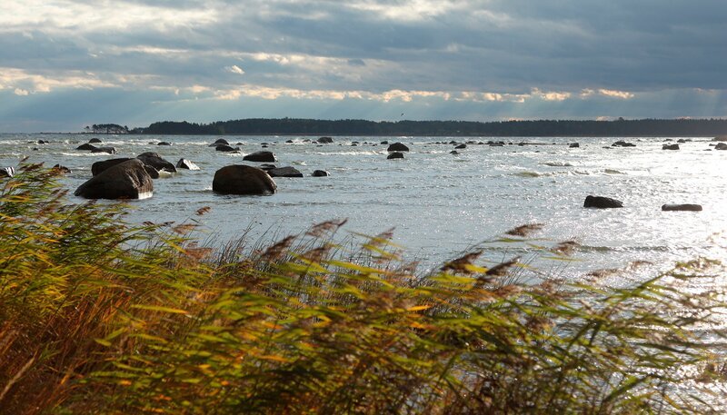 Der Lahema Nationalpark im Norden Estlands ist geprägt von riesigen Felsbrocken. – Bild: HR/​NDR/​Christoph Hauschild