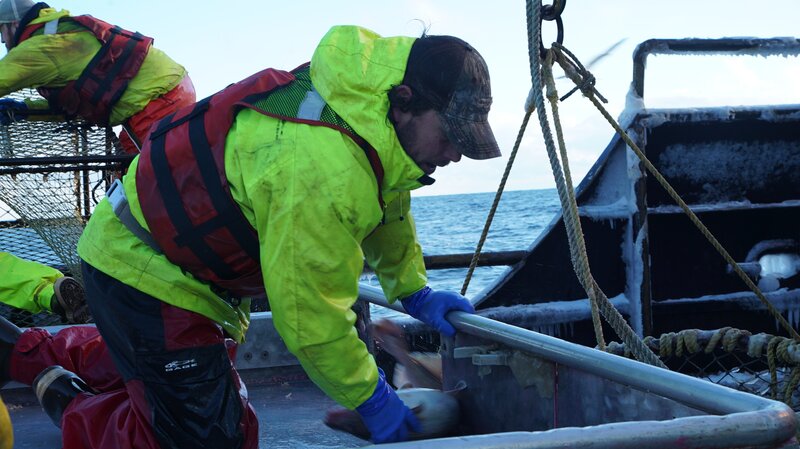 Veteran deckhand Crosby Leveen is hard at work at the Wizard sorting table. – Bild: Discovery Communciations