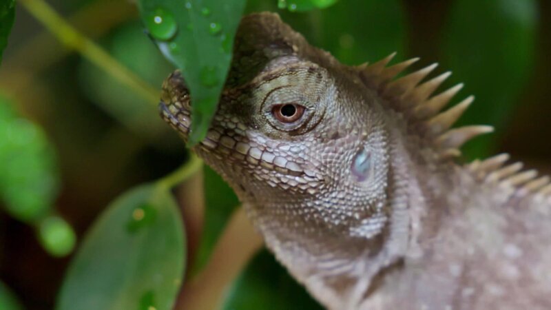 Bild: @Red Bull Media House/​ServusTV