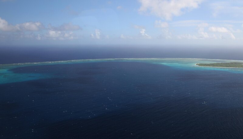 Bild: 2020 NGC Network US, LLC. All rights reserved. Lizenzbild frei