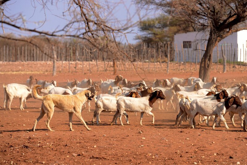 Die Kommissare Hofer und Hansen sind gespannt auf die Untersuchungsergebnisse von Pathologin Mai. – Bild: ORF/​ZDF/​Bojan Ritan