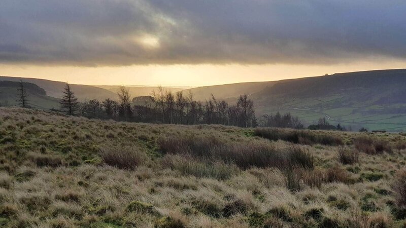 Bild: RTL /​ WAG ENTERTAINMENT