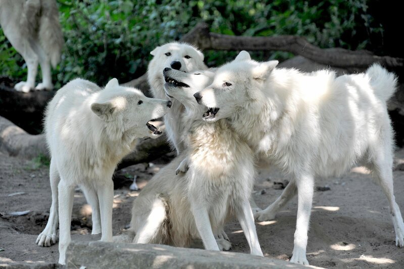 Bild: rbb/​Thomas Ernst