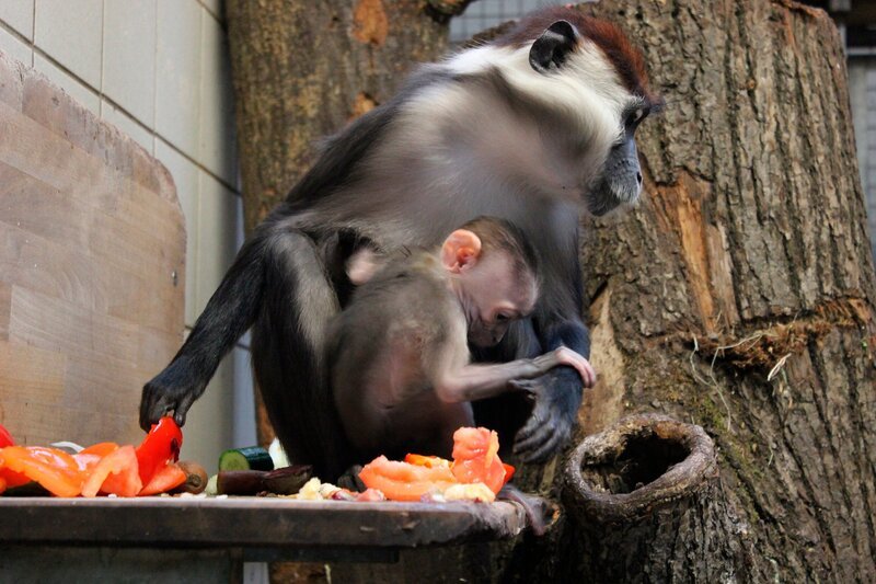 Bild: rbb/​Dokfilm