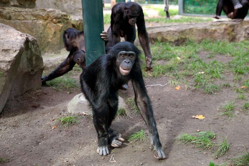 Bild: rbb/​Thomas Ernst