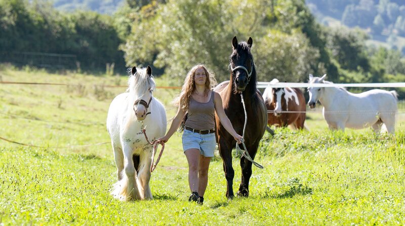 Laura Alena Schmid mit ihren Pensionspferden. – Bild: WDR/​Melanie Grande