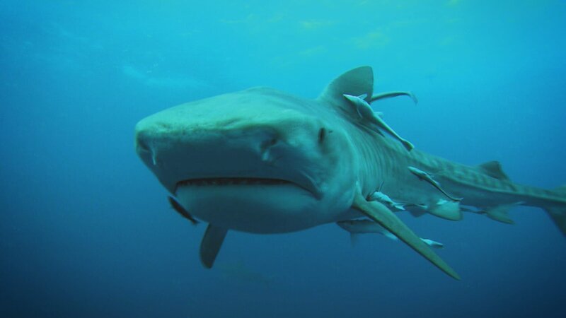 . – Bild: Warner Bros. Discovery