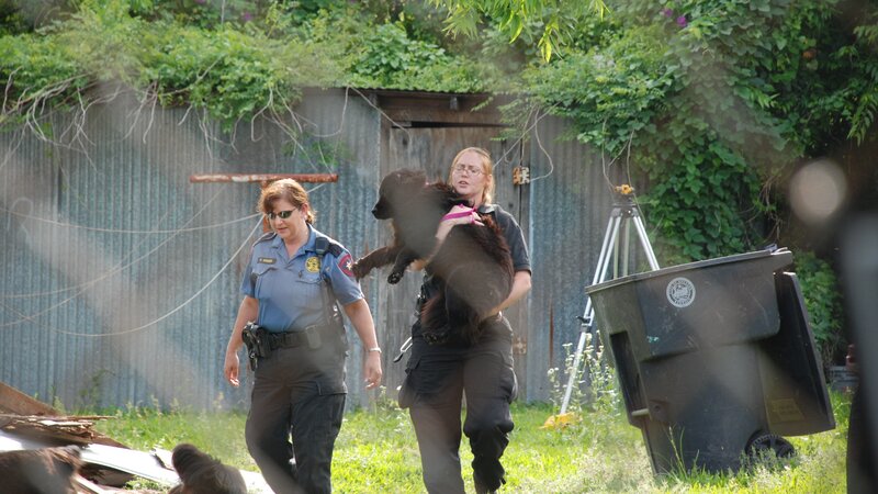 Bild: Discovery Communications