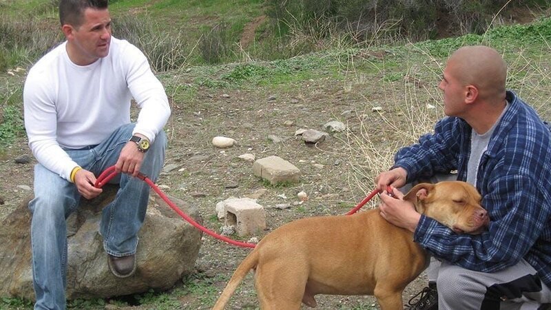 Bild: 44 Blue Productions Inc