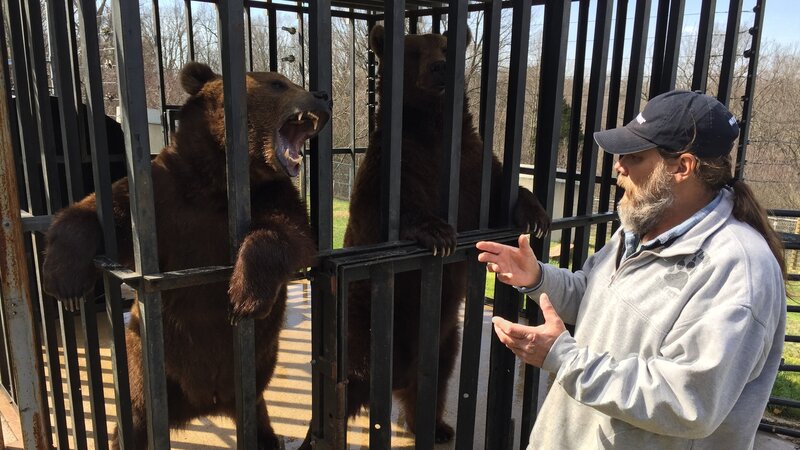 Bild: Discovery Communications /​ Photobank