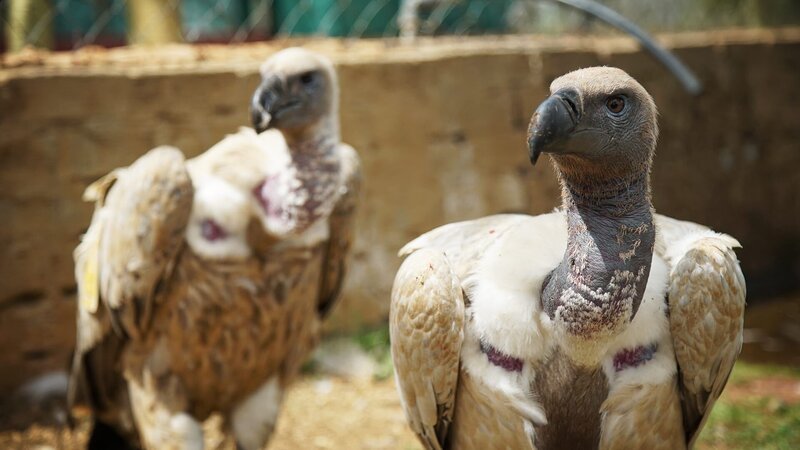 . – Bild: Warner Bros. Discovery