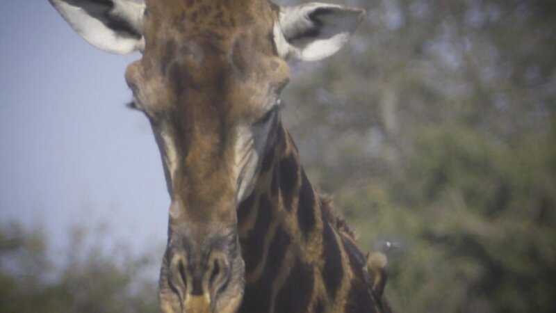 . – Bild: Warner Bros. Discovery