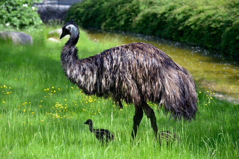 Bild: rbb/​Thomas Ernst