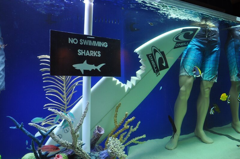 Das Aquarium einer Skateboardrampe. – Bild: PLURIMEDIA (Animal Planet)